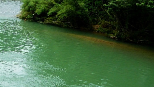 粉象生活官网app下载