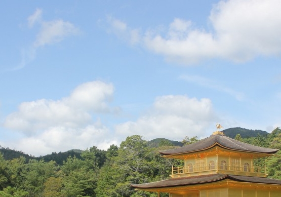 粉象生活