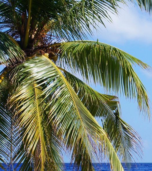 怎样评价粉象生活