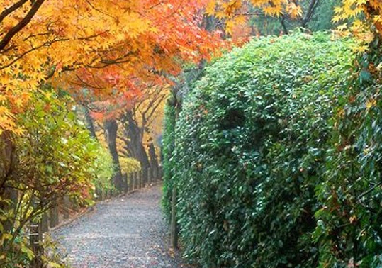 福建粉象生活收费