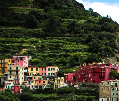 网上购物算不算公共生活