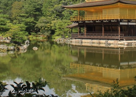 广州粉象生活能拿几代佣金