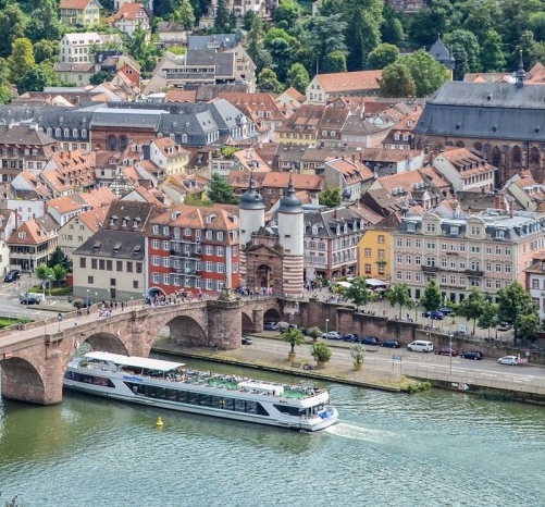 阳江粉象生活图片