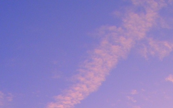 粉象生活购物红包