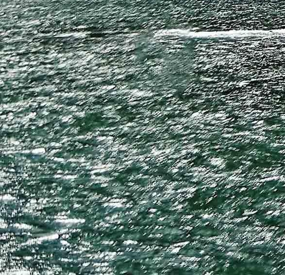 粉象生活怎么下