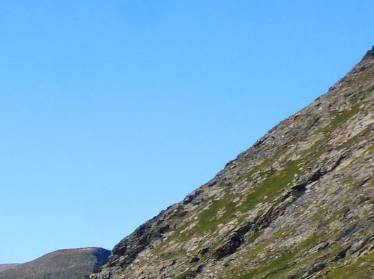 湛江粉象生活加盟