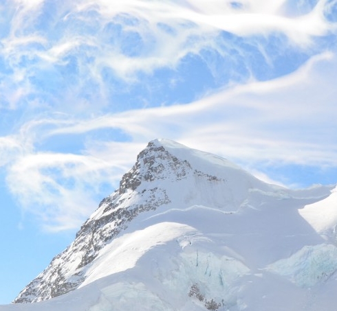 粉象生活平台加盟