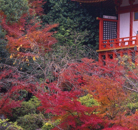 粉象生活可以赚钱吗