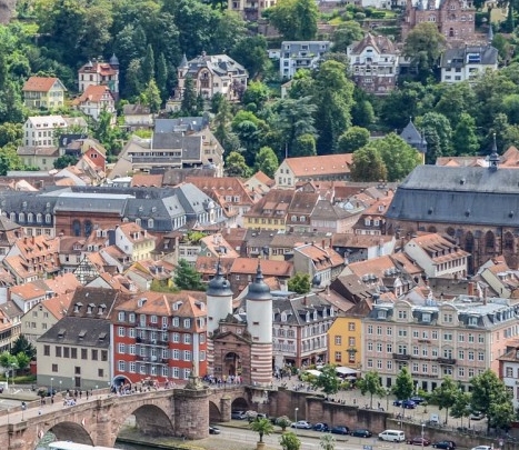 粉象生活分享后怎么没有佣金