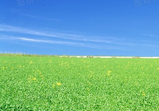 粉象生活怎么赚钱的