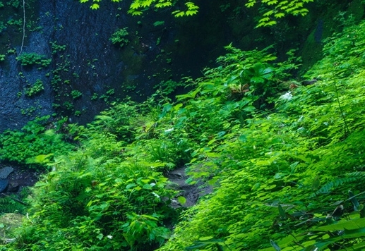 粉象生活需要实名认证么