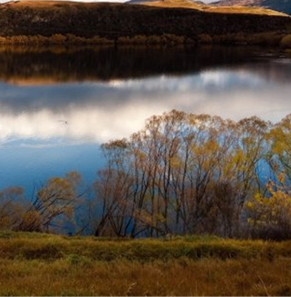 粉象生活发圈了有佣金嘛