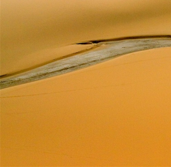 上海加盟粉象生活是什么