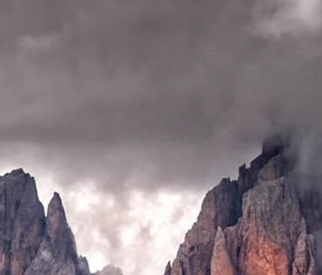 茂名粉象生活合伙人