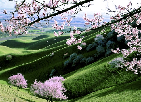 粉象这个平台合法吗