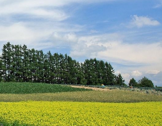 学生党生活小妙招
