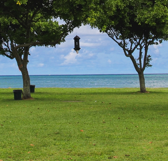 粉象生活自己的产品怎么做