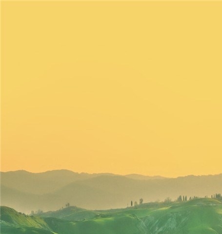 粉象生活的软件