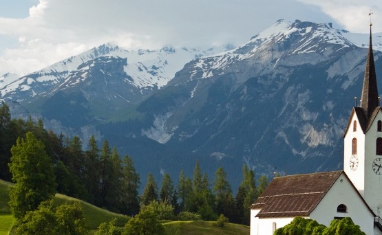 粉象生活日推广50人