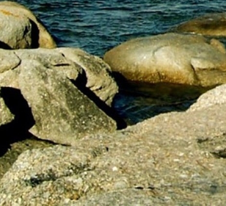 湛江粉象生活如何使用