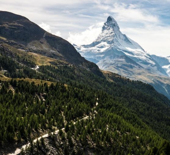 南通粉象生活电话