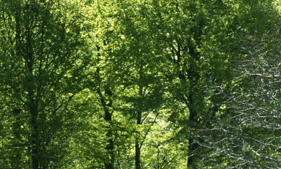 如何改粉象生活推广人