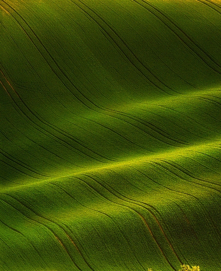 怎样退出粉象生活