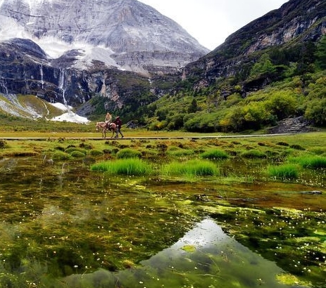 粉象生活优惠了吗