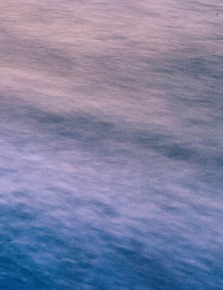 粉象生活下载app