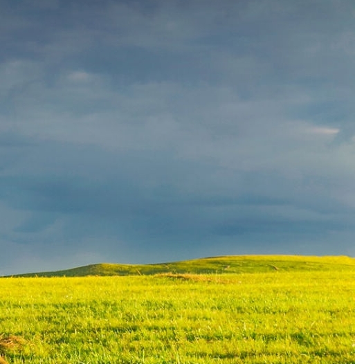 粉象生活哪里买