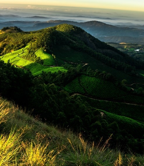 虚拟号码怎么交话费