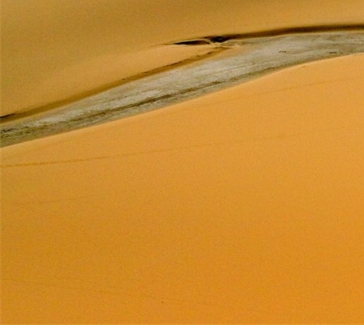 滨州粉象生活app