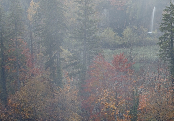 粉象生活申请vip