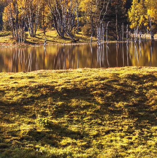 粉象生活赚钱教程