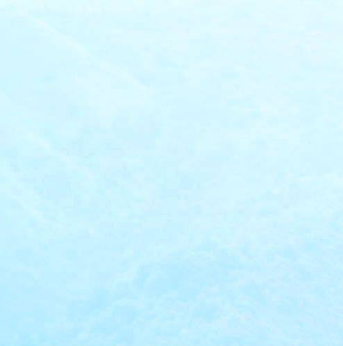 粉象生活招商助理