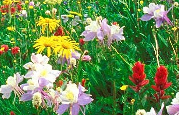 济宁银行慧济生活积分