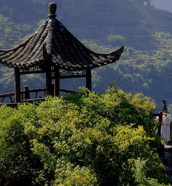 粉象生活代理怎么生成邀请码