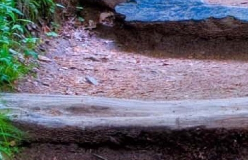 粉象生活旅游app