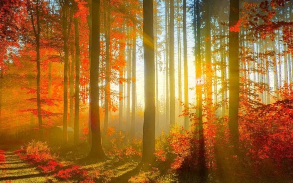 粉象生活返佣是真的吗