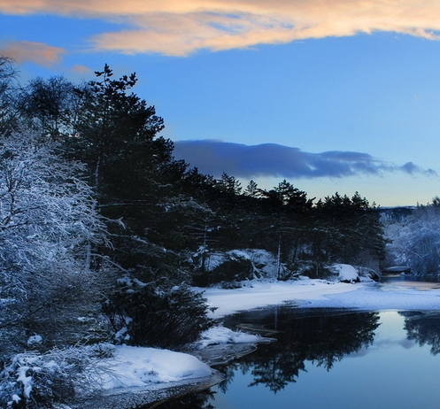 粉象生活的会员会过期吗