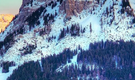 下载粉象生活app