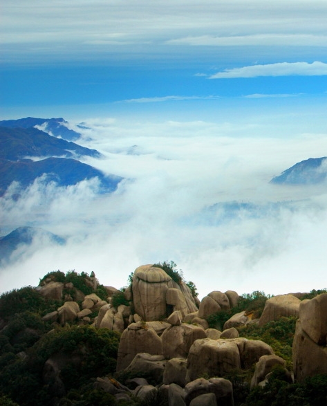 聊城粉象生活vip