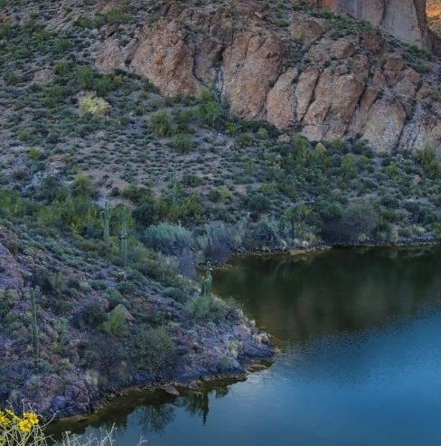 粉象生活发展vip