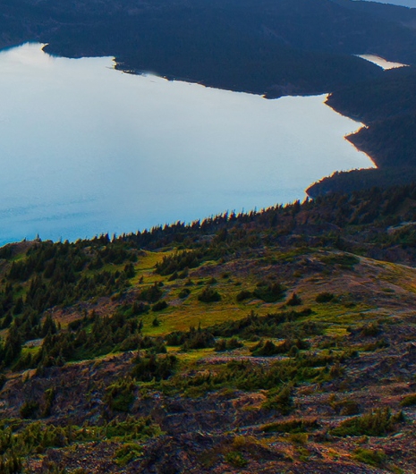 粉象生活招聘待遇