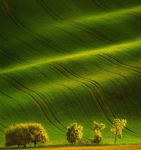 粉象生活电影介绍