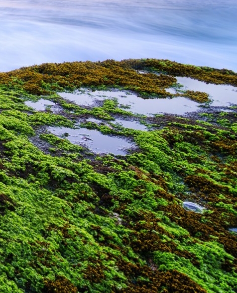 粉象生活推荐吗