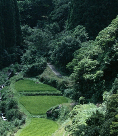 粉象生活怎么建邦微信