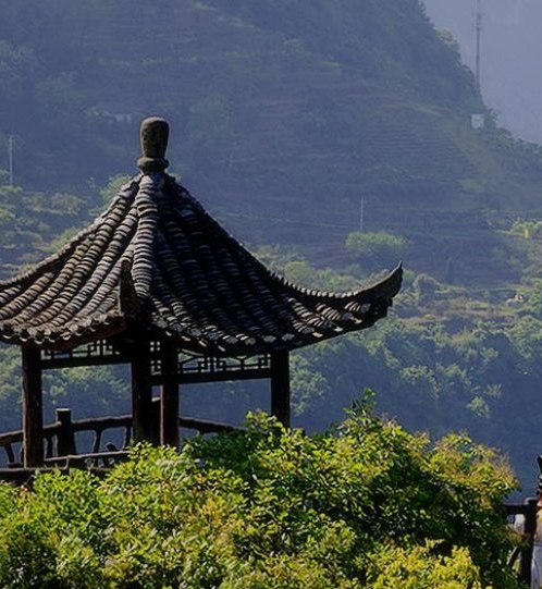 粉象生活介绍