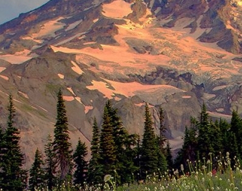 粉象生活分享赚是怎么赚钱的