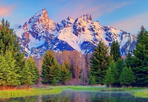 安庆粉象生活软件